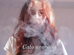 Cato_avocato