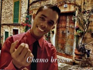 Chamo_brown