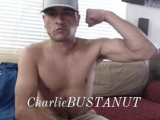 CharlieBUSTANUT