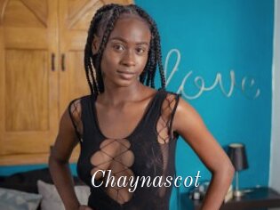 Chaynascot