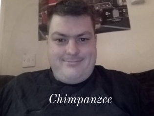 Chimpanzee