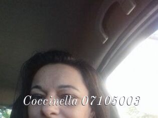 Coccinella-07105003