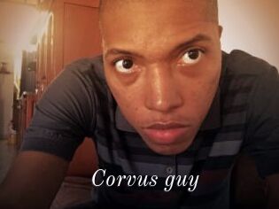 Corvus_guy