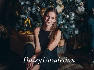 DaisyDandelion