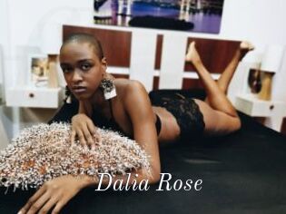 Dalia_Rose