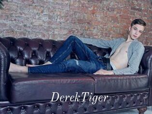 DerekTiger