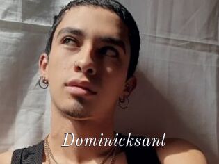 Dominicksant