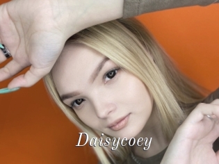 Daisycoey