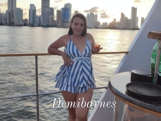 Demibarnes