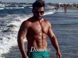 Domluc