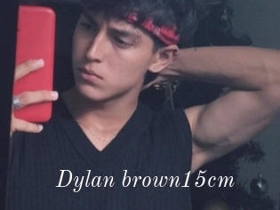 Dylan_brown15cm