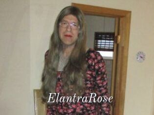 Elantra_Rose