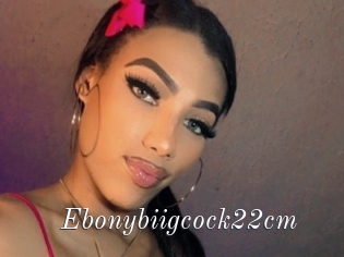 Ebonybiigcock22cm