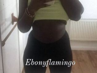 Ebony_flamingo