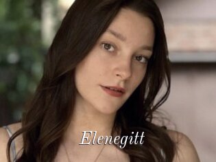 Elenegitt