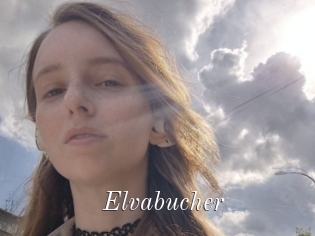 Elvabucher