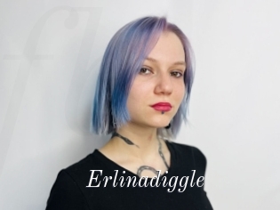 Erlinadiggle