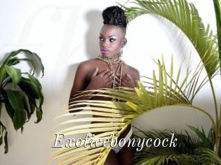 Exoticebonycock