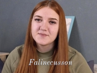 Falinecusson