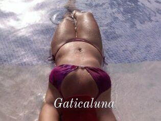 Gaticaluna