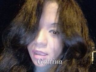 Gattina