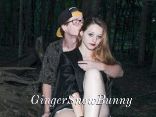 GingerSnowBunny