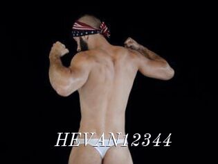 HEVAN12344