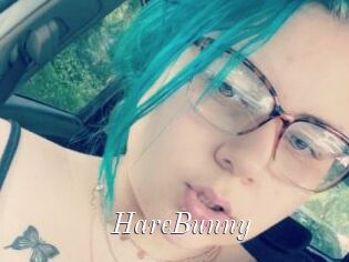 HareBunny