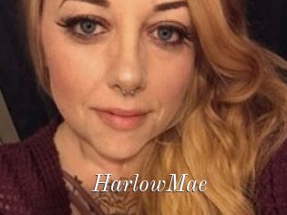 HarlowMae