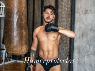 Hamerprotector