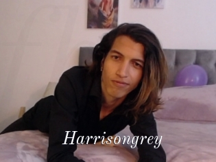 Harrisongrey