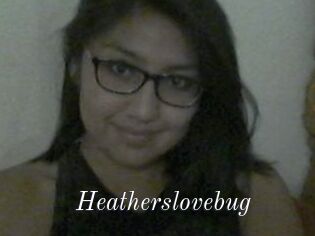 Heatherslovebug