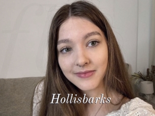 Hollisbarks