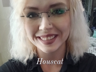 Houscat