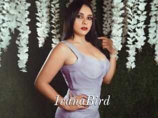 IvanaBird