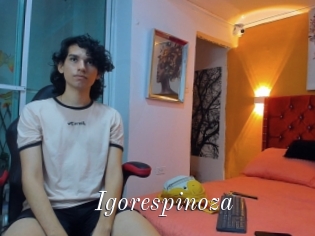 Igorespinoza