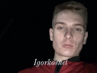 Igorkoshel