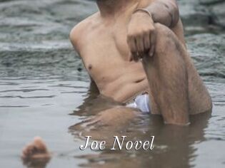 Joe_Novel