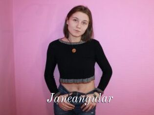 Janeangular