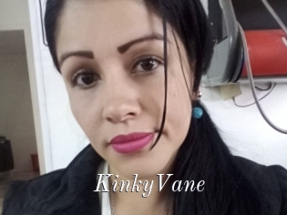 KinkyVane