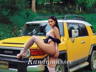 Kandymussee