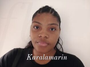 Karalamarin