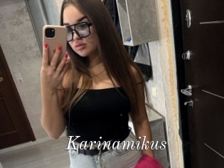 Karinamikus