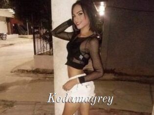 Kodamagrey