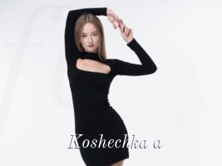 Koshechka_a