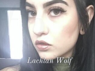 Lachlan_Wolf