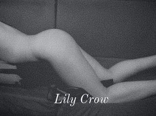 Lily_Crow