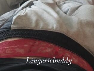 Lingeriebuddy