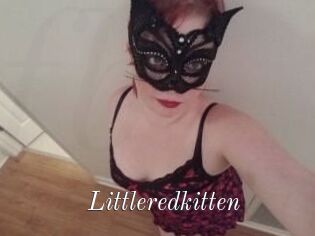 Littleredkitten