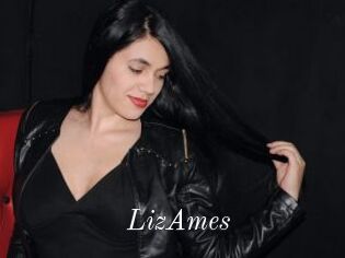 LizAmes